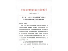 圍繞中心大局，亮出黨員本色，努力攻堅(jiān)創(chuàng)效